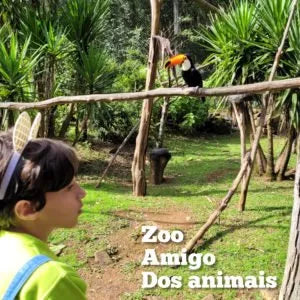 Um zoo amigo dos animais